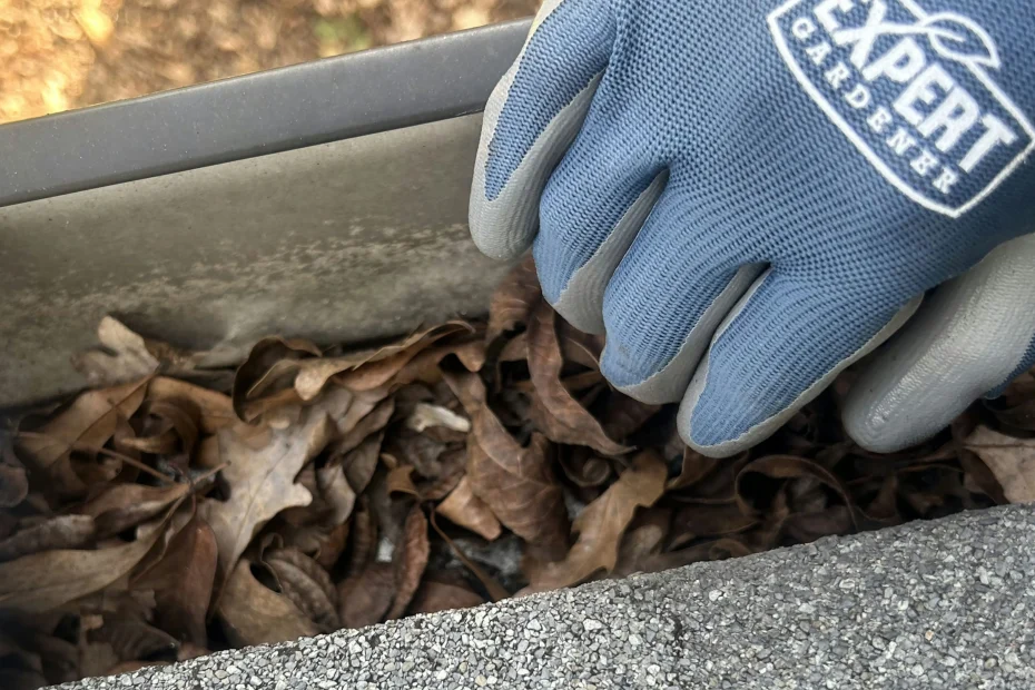 Gutter Cleaning Olathe, KS