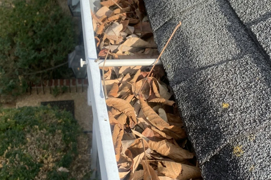 Gutter Cleaning Olathe, KS